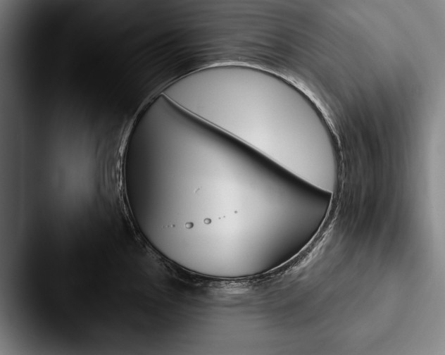 X0000088061145200705110908