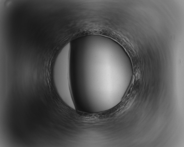 X0000088061156200705110908