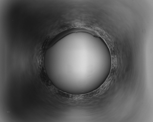 X0000088061157200705110908