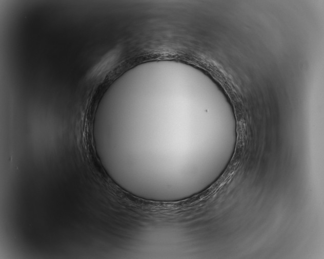 X0000088061158200705110908