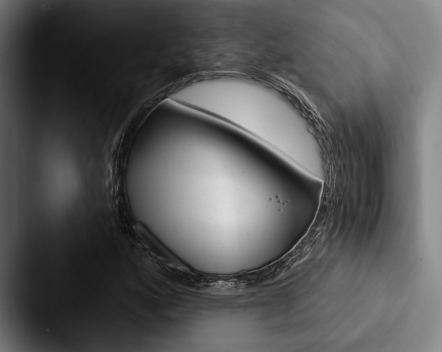 X0000088061160200705110908