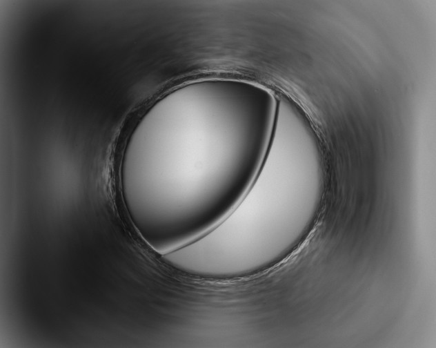 X0000088061164200705110908