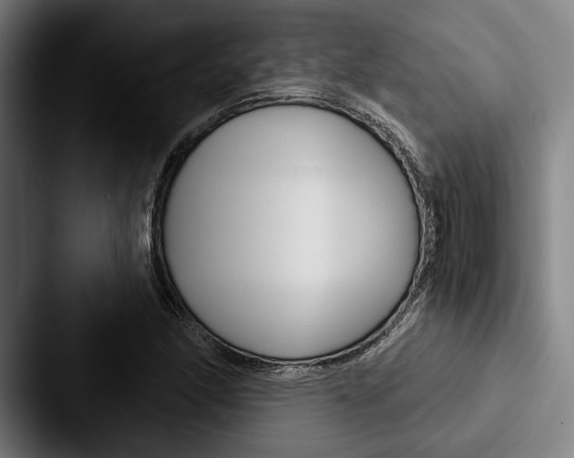 X0000088061166200705110908