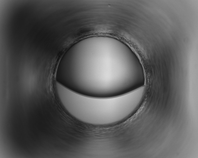 X0000088061169200705110908