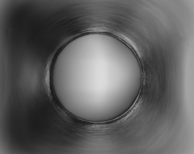 X0000088061179200705110908