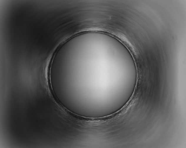 X0000088061181200705110907