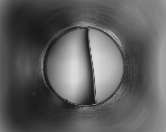 X0000088061183200705110907