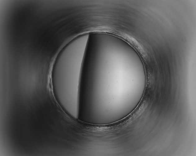 X0000088061184200705110907