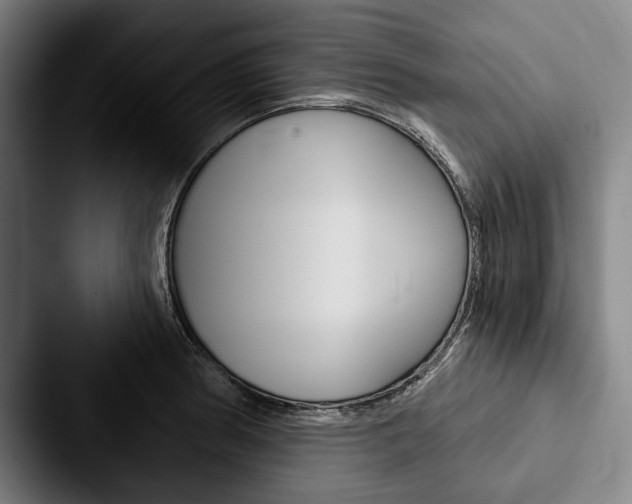 X0000088061186200705110907
