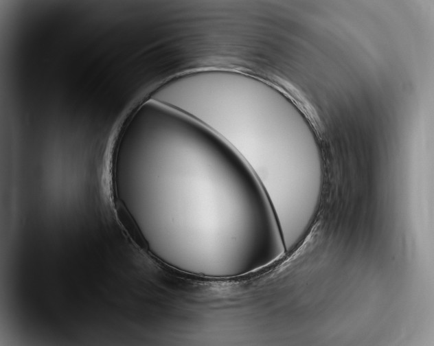 X0000088061188200705110907
