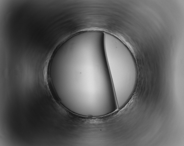 X0000088061189200705110907