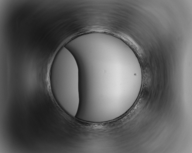 X0000088061190200705110907