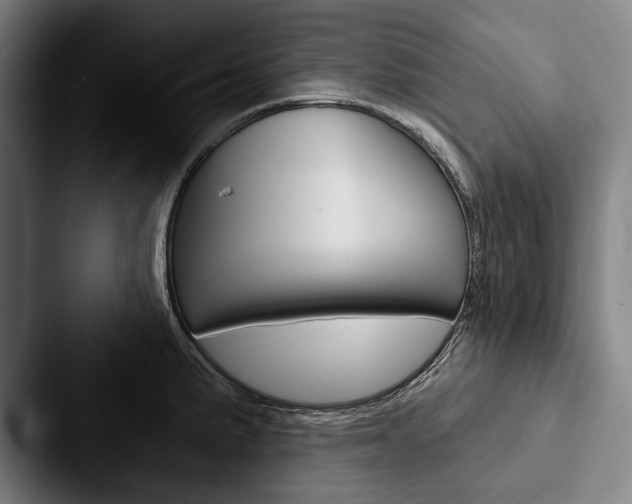 X0000088061191200705110907
