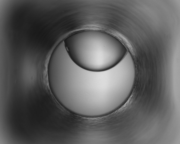 X0000088061192200705110907