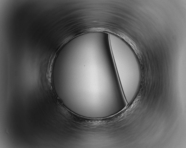 X0000088061193200705110907