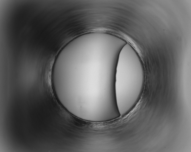 X0000088061194200705110907
