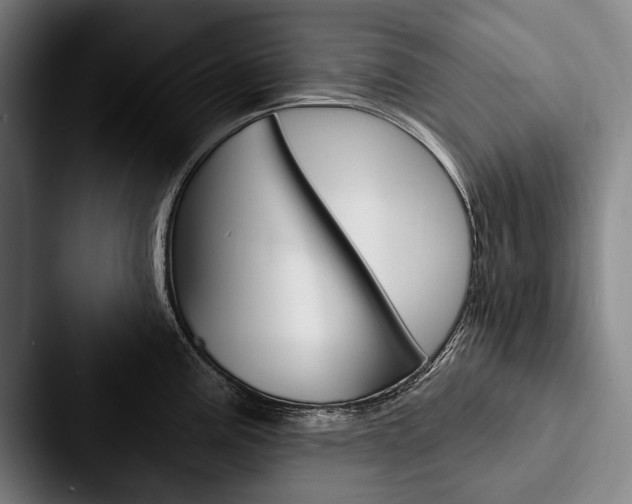 X0000088061195200705110907