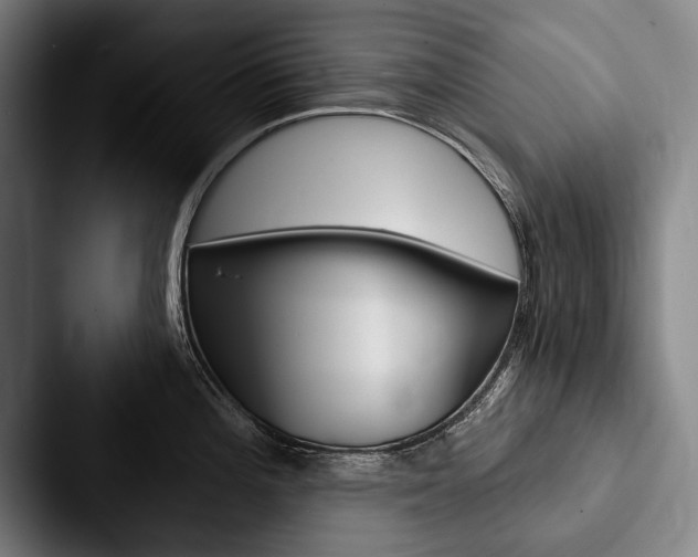 X0000088061196200705110907