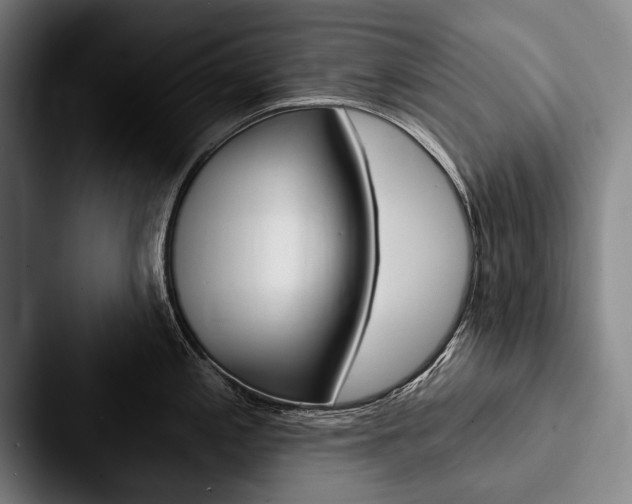 X0000088061197200705110907