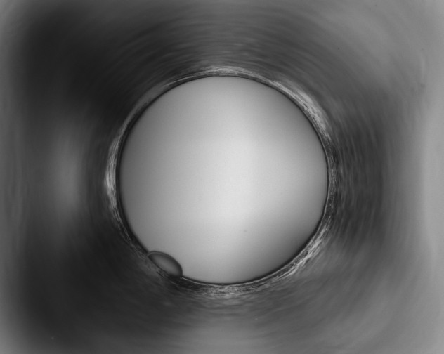 X0000088061198200705110907