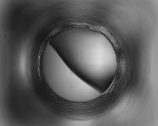 X0000088061199200705110907