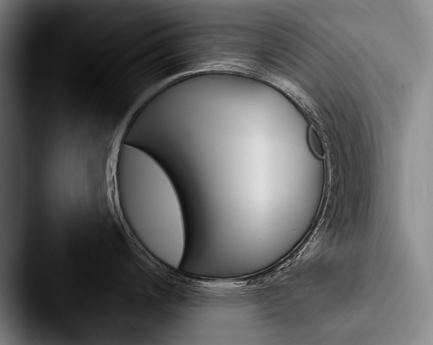 X0000088061200200705110907