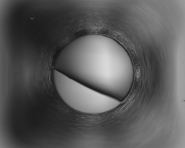 X0000088061204200705110907