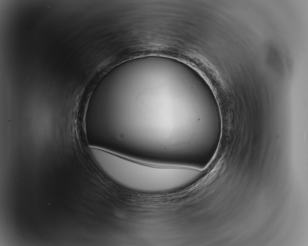 X0000088061210200705110907