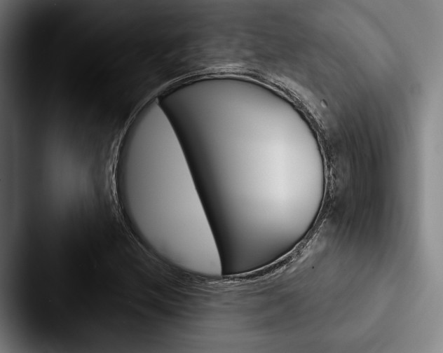 X0000088061212200705110907