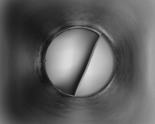 X0000088061213200705110907