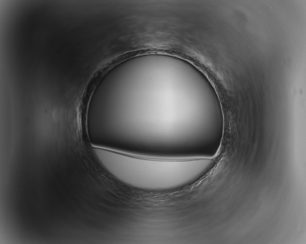 X0000088061214200705110907