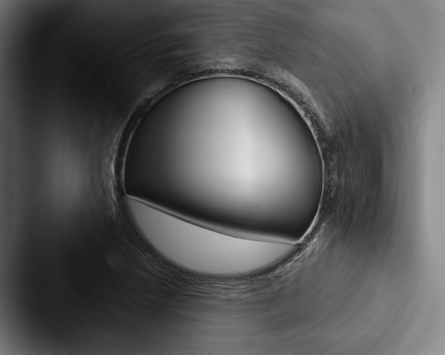X0000088061218200705110907