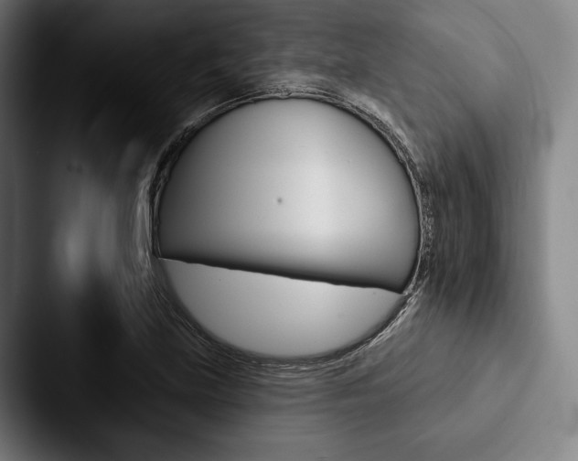 X0000088061219200705110907