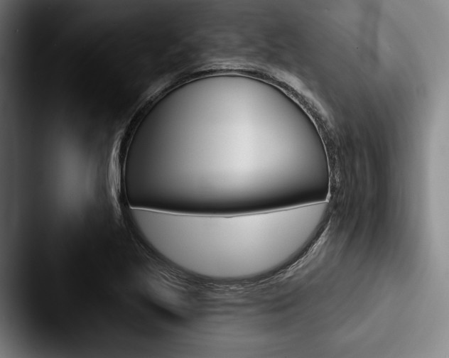 X0000088061221200705110907