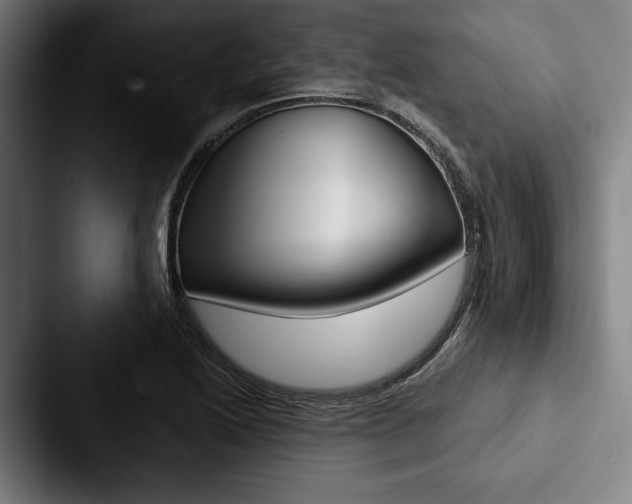 X0000088061222200705110907