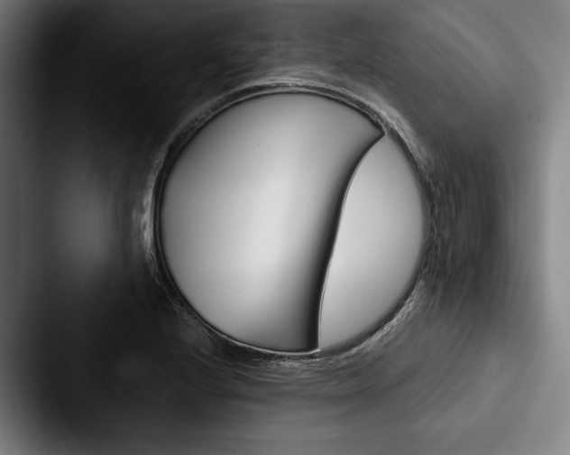 X0000088061224200705110907