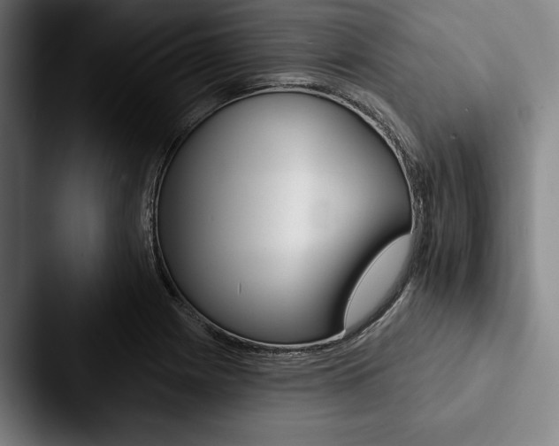 X0000088061225200705110907