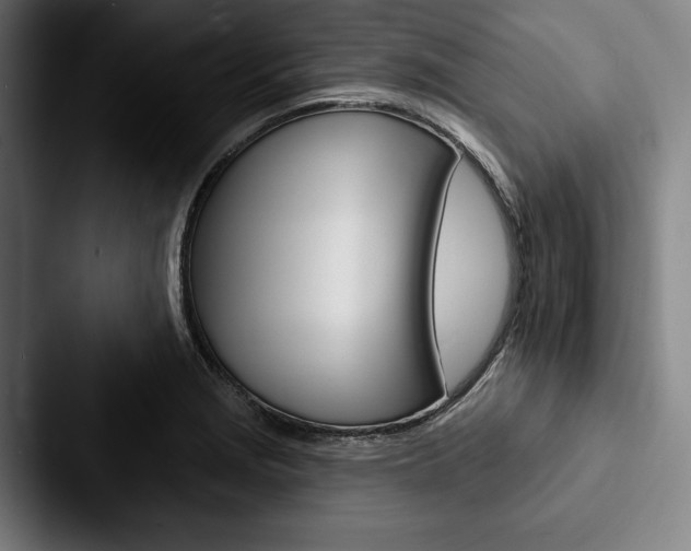 X0000088061229200705110907