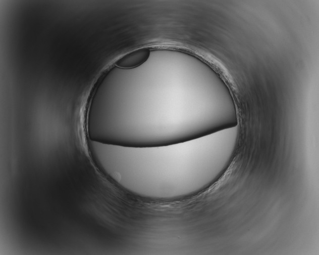 X0000088061231200705110907