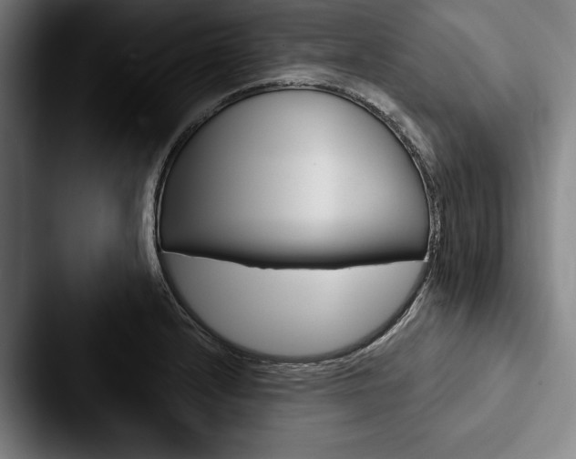 X0000088061232200705110907