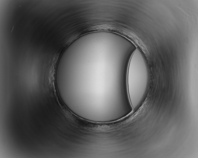 X0000088061233200705110907
