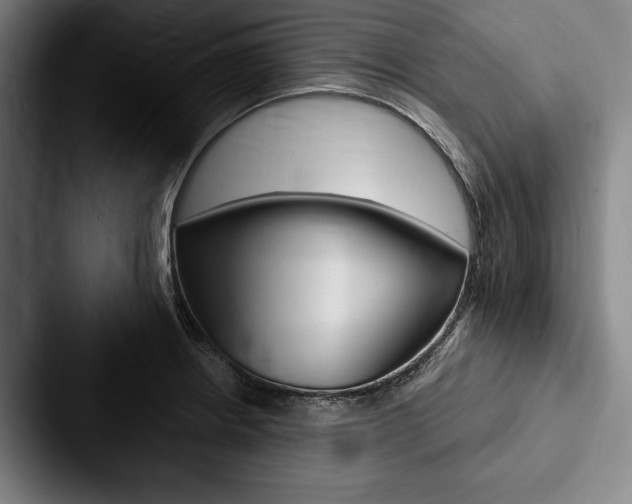 X0000088061234200705110907
