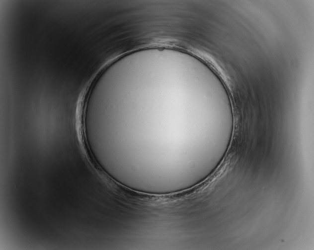 X0000088061235200705110907