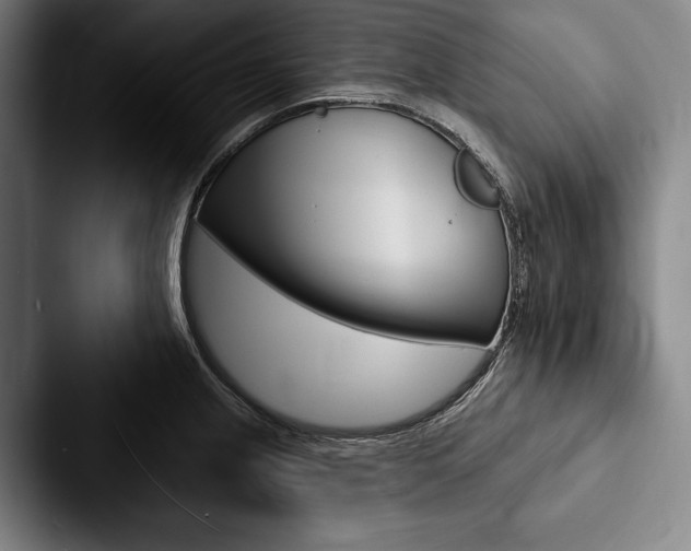 X0000088061237200705110907