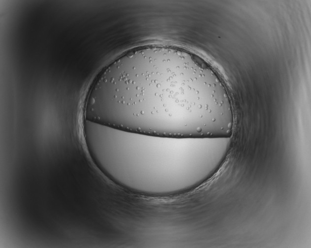 X0000088061239200705110907