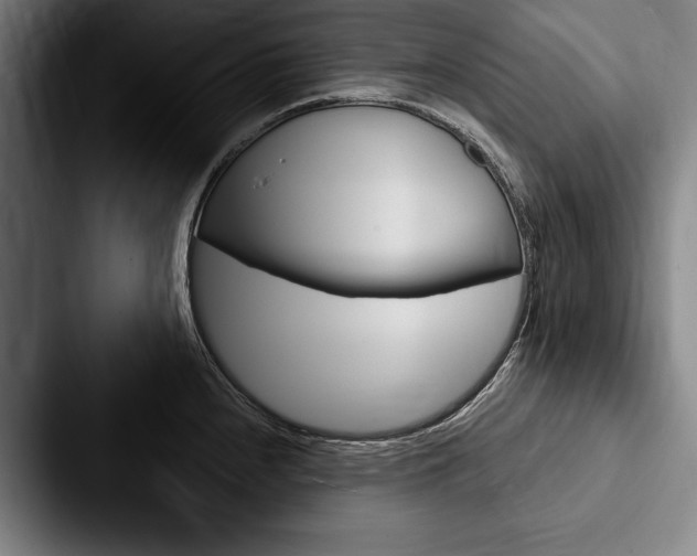 X0000088061240200705110907