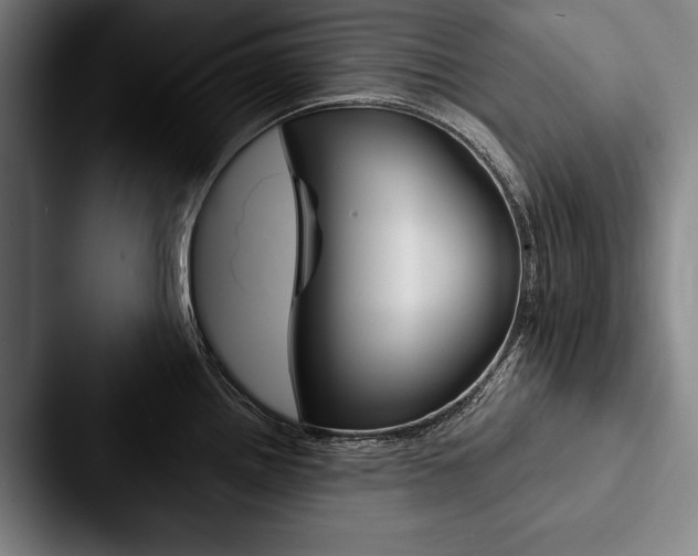 X0000088061242200705110907