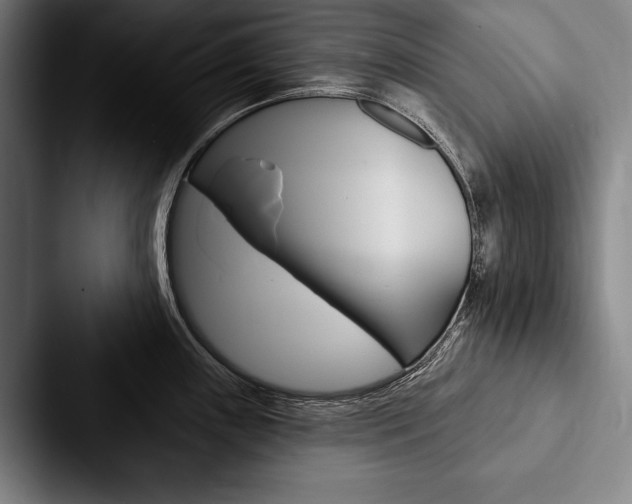 X0000088061243200705110907