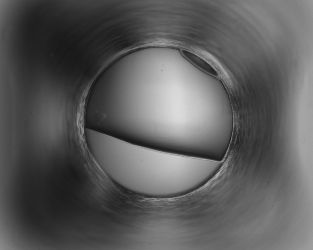 X0000088061244200705110907