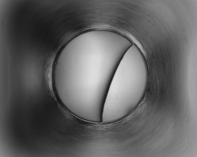X0000088061245200705110907